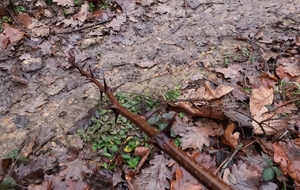 Valait mieux pas rouler dessus ! ! !  🫨