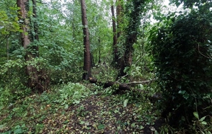 6ade2bcc057c7_GOPR60181024x683.jpg