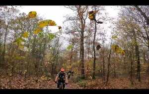 Sortie Sénart du 11/11/25