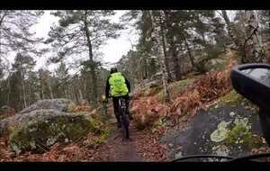 Fontainebleau du 22-02-26