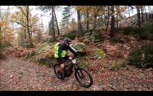 Fontainebleau du 02-11-25